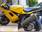 Bild#44(ENUMA-Kettensatz_Triumph-Daytona-900-SuperIII_Zwicklbauer.jpg)