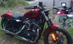 Bild#67(TomTom-RIDER-Urban-Holder_RAM_Harley-Davidson-Sportster_Triesch.jpg)