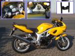Bild#3(GPS_III_Garmin_Suzuki_SV650_Gabelbruecke_Spezial_Georgie.jpg)