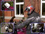 Bild#9(GPS_IIIplus_mit_Sonnenblende_BMW_R100GS_Mill.jpg)